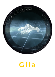 Gila Fitting Window